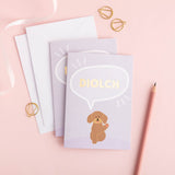 Bocs o 10, 15 neu 20 cerdyn diolch Cymraeg