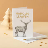 Nadolig Llawen Welsh Christmas Card Set of 4 Nadolig Llawen - Lleucu Howatson