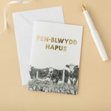 Pecyn o 4 cerdyn Pen-blwydd Hapus - Lleucu Howatson