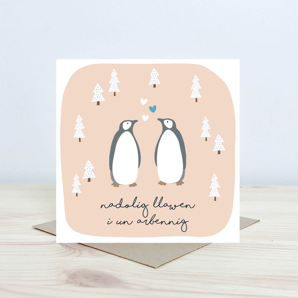 Cerdyn 'Nadolig Llawen i un arbennig' Nansi Nudd