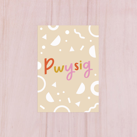 Llyfr nodiadau 'Pwysig' - Nansi Nudd