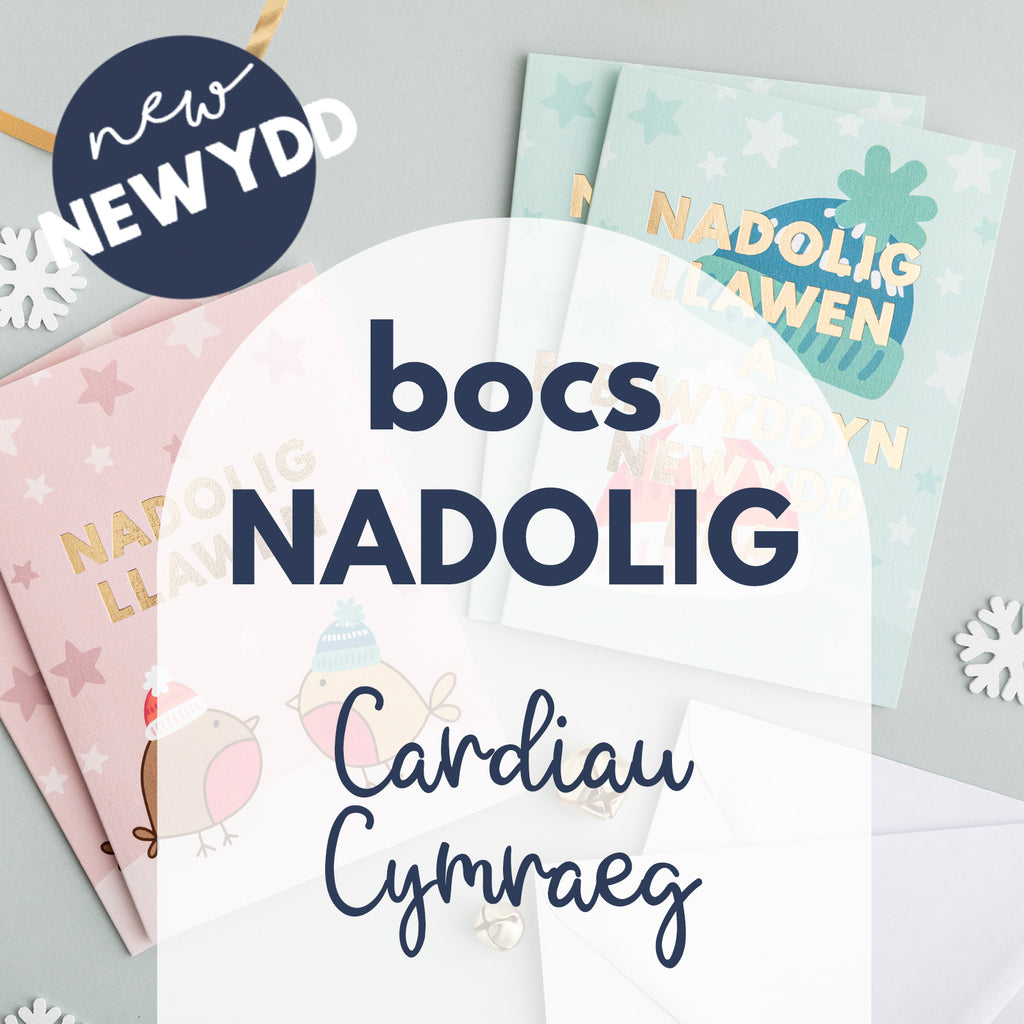 Mystery box of Welsh Christmas cards - Hapus Fy Myd collection