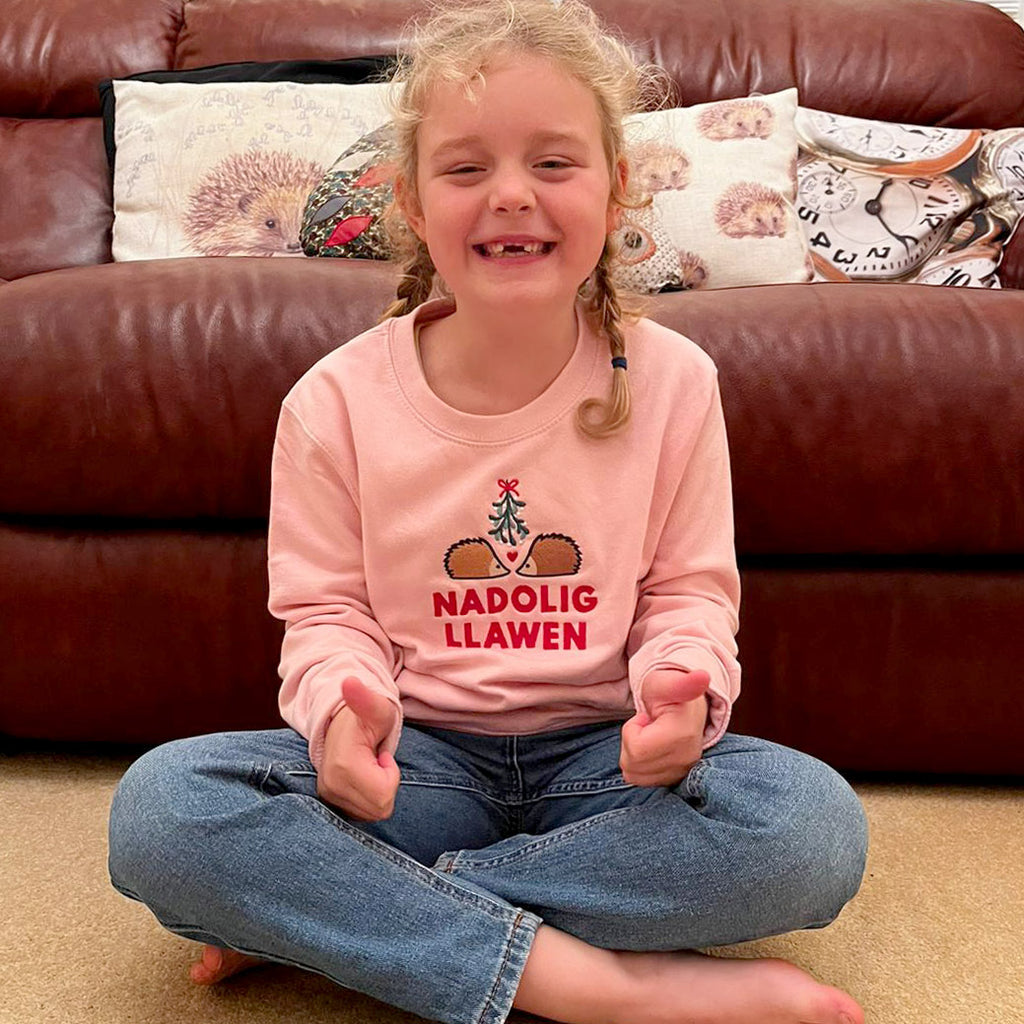 Siwmper Nadolig Llawen gyda Draenogod - Plant