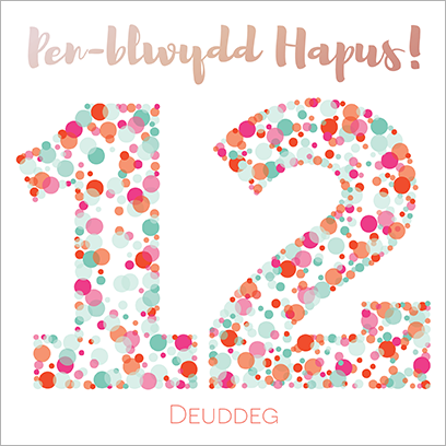 Welsh birthday card twelve 'Pen-blwydd hapus 12 deuddeg' Cerdyn Cymraeg - Draenog