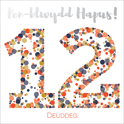 Welsh birthday card 'Pen-blwydd hapus 12' blue / Cerdyn Cymraeg - Draenog