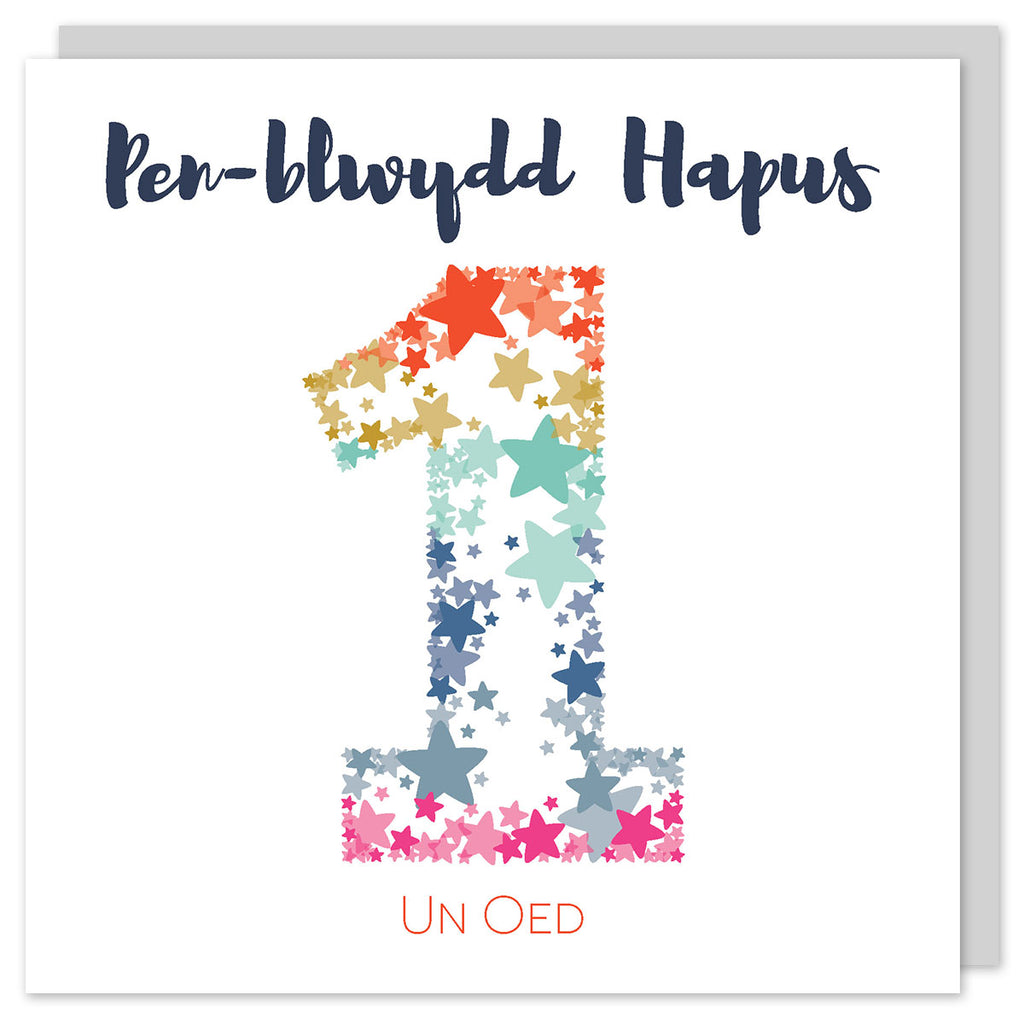 Welsh birthday card one 'Pen-blwydd hapus 1 un oed' Cerdyn Cymraeg - Draenog