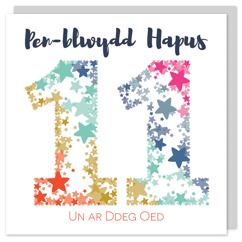 Welsh birthday card age eleven 'Pen-blwydd hapus 11 un ar ddeg oed' Cerdyn Cymraeg - Draenog