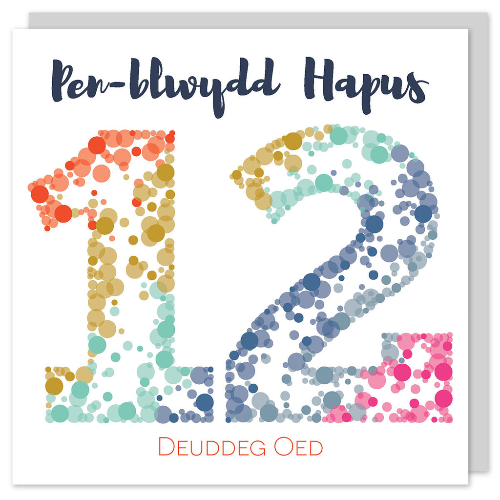 Welsh birthday card age twelve 'Pen-blwydd hapus 12 deuddeg oed' Cerdyn Cymraeg - Draenog