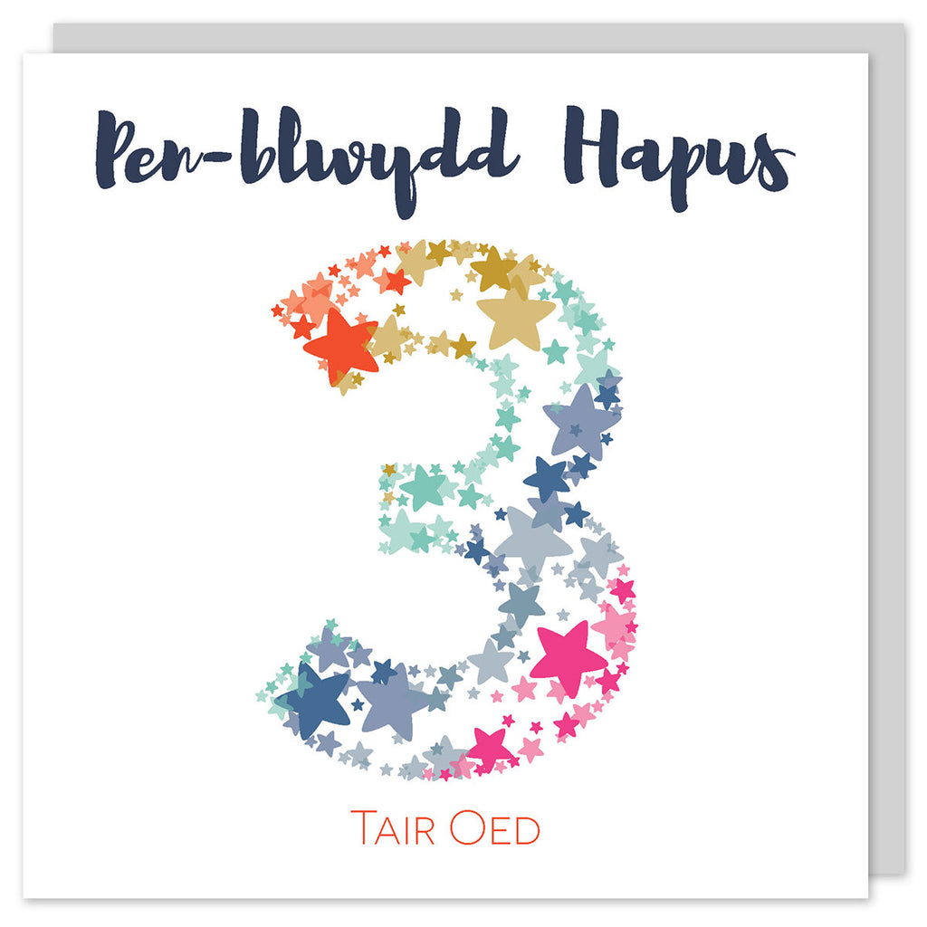 Welsh birthday card age three 'Pen-blwydd hapus 3 tair oed' Cerdyn Cymraeg - Draenog