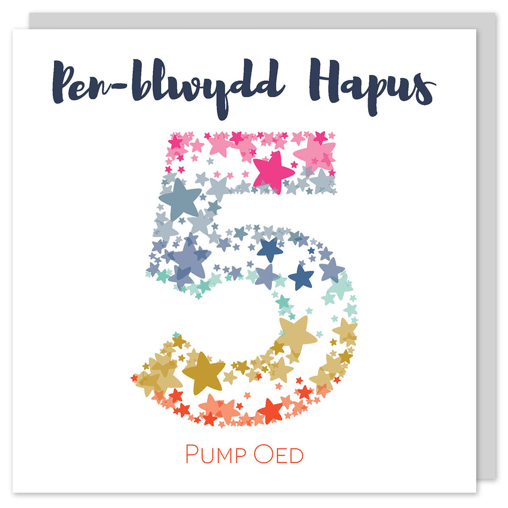 Welsh birthday card age five 'Pen-blwydd hapus 5 pump oed' Cerdyn Cymraeg - Draenog