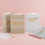 Pecyn o gardiau pen-blwydd Cymraeg - Casgliad Hapus Fy Myd 2