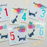 Bocs o 10, 15 neu 20 cerdyn - Saesneg