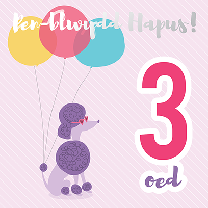 Welsh birthday card 'Pen-blwydd hapus 3 oed' poodle / Cerdyn Cymraeg - Draenog