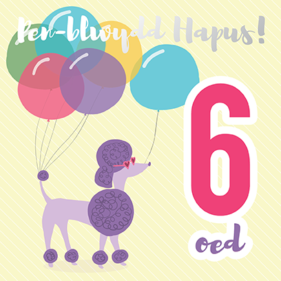 Welsh birthday card 'Pen-blwydd hapus 6 oed' poodle / Cerdyn Cymraeg - Draenog