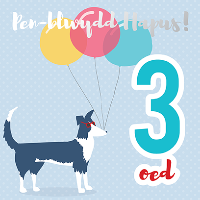 Welsh birthday card 'Pen-blwydd hapus 3 oed' sheep dog / Cerdyn Cymraeg - Draenog