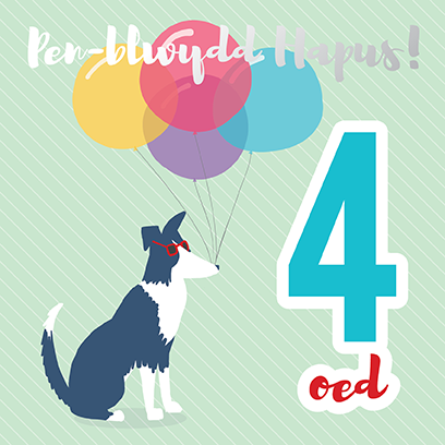 Welsh birthday card 'Pen-blwydd hapus 4 oed' sheep dog / Cerdyn Cymraeg - Draenog