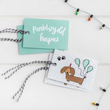 Pecyn papur lapio pen-blwydd - Selsgwn