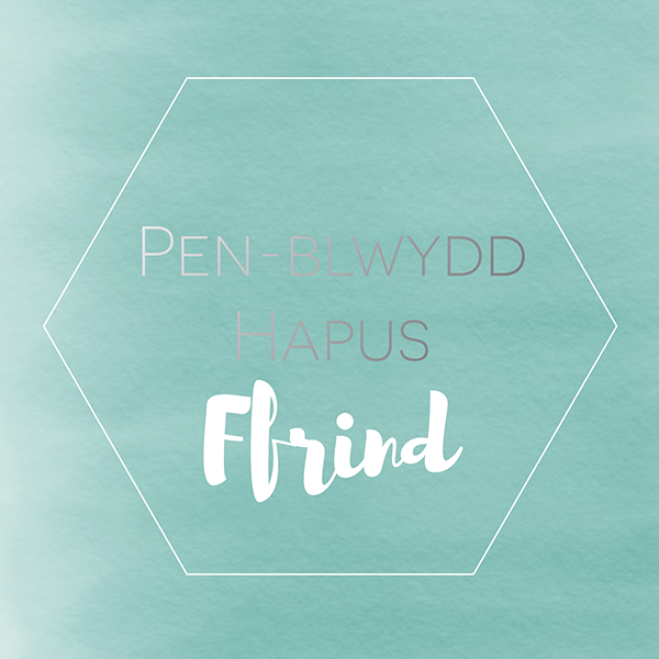 Welsh birthday card 'Pen-blwydd hapus Ffrind' - Draenog