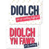 Thank you cards 'Diolch am fy anrheg' pack of 4 mini cards