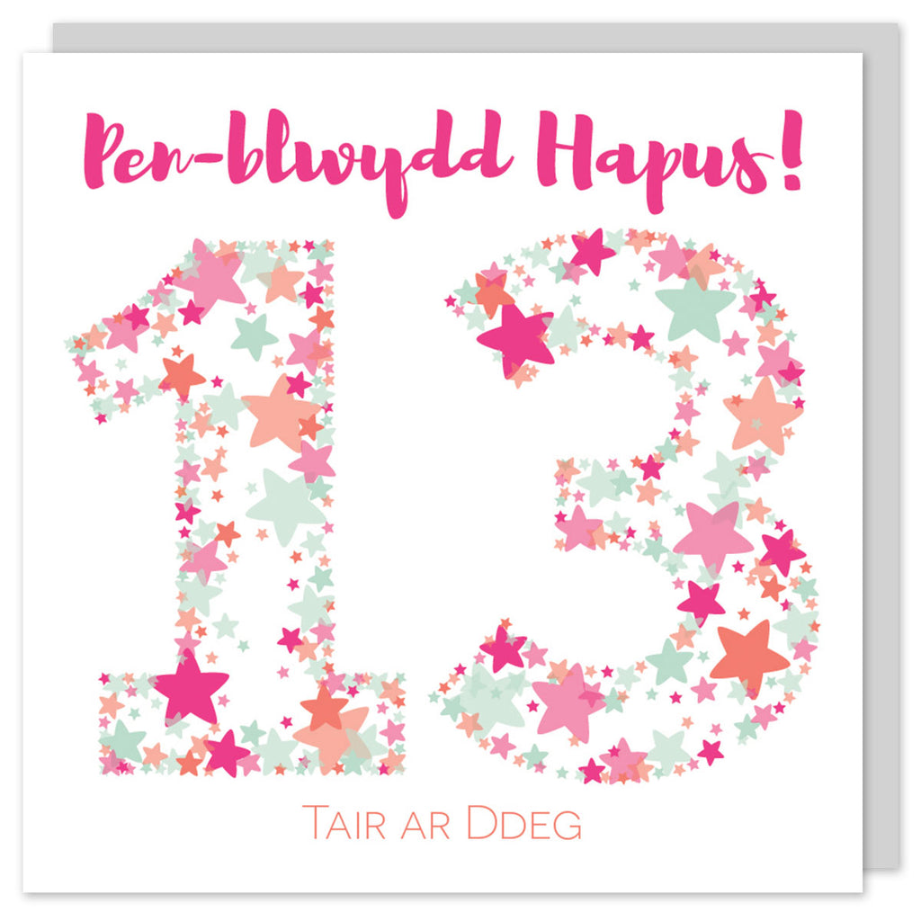 Welsh birthday card thirteen 'Pen-blwydd hapus 13 tair ar ddeg' Cerdyn Cymraeg - Draenog