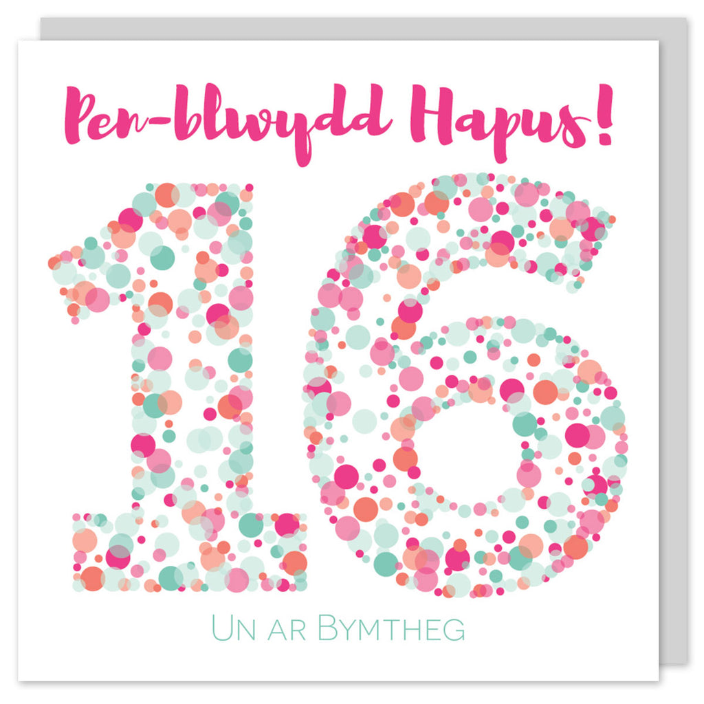 Welsh birthday card sixteen 'Pen-blwydd hapus 16 Un ar bymtheg' Cerdyn Cymraeg - Draenog