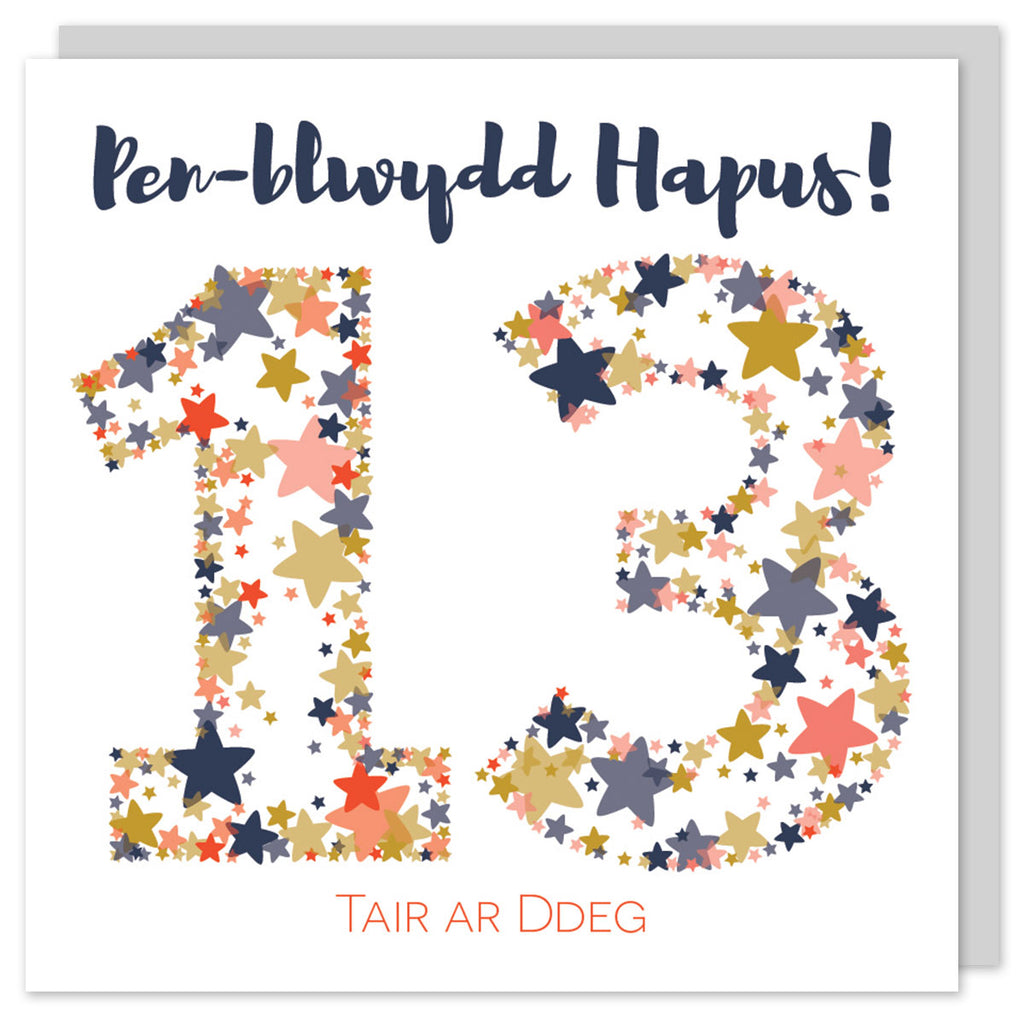 Welsh birthday card thirteen 'Pen-blwydd hapus 13 tair ar ddeg' Cerdyn Cymraeg - Draenog