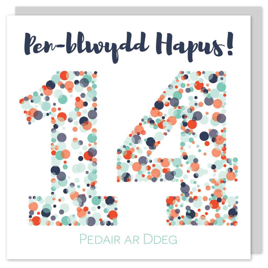 Welsh birthday card fourteen 'Pen-blwydd hapus 14 Pedair ar ddeg' Cerdyn Cymraeg - Draenog