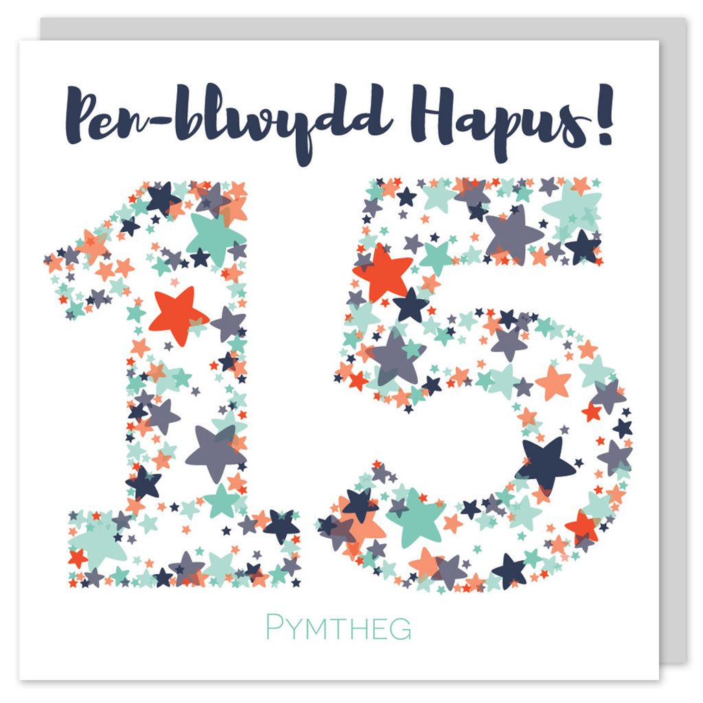Welsh birthday card fifteen 'Pen-blwydd hapus 15 Pymtheg' Cerdyn Cymraeg - Draenog