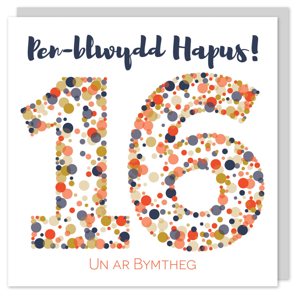 Welsh birthday card sixteen 'Pen-blwydd hapus 16 Un ar bymtheg' Cerdyn Cymraeg - Draenog