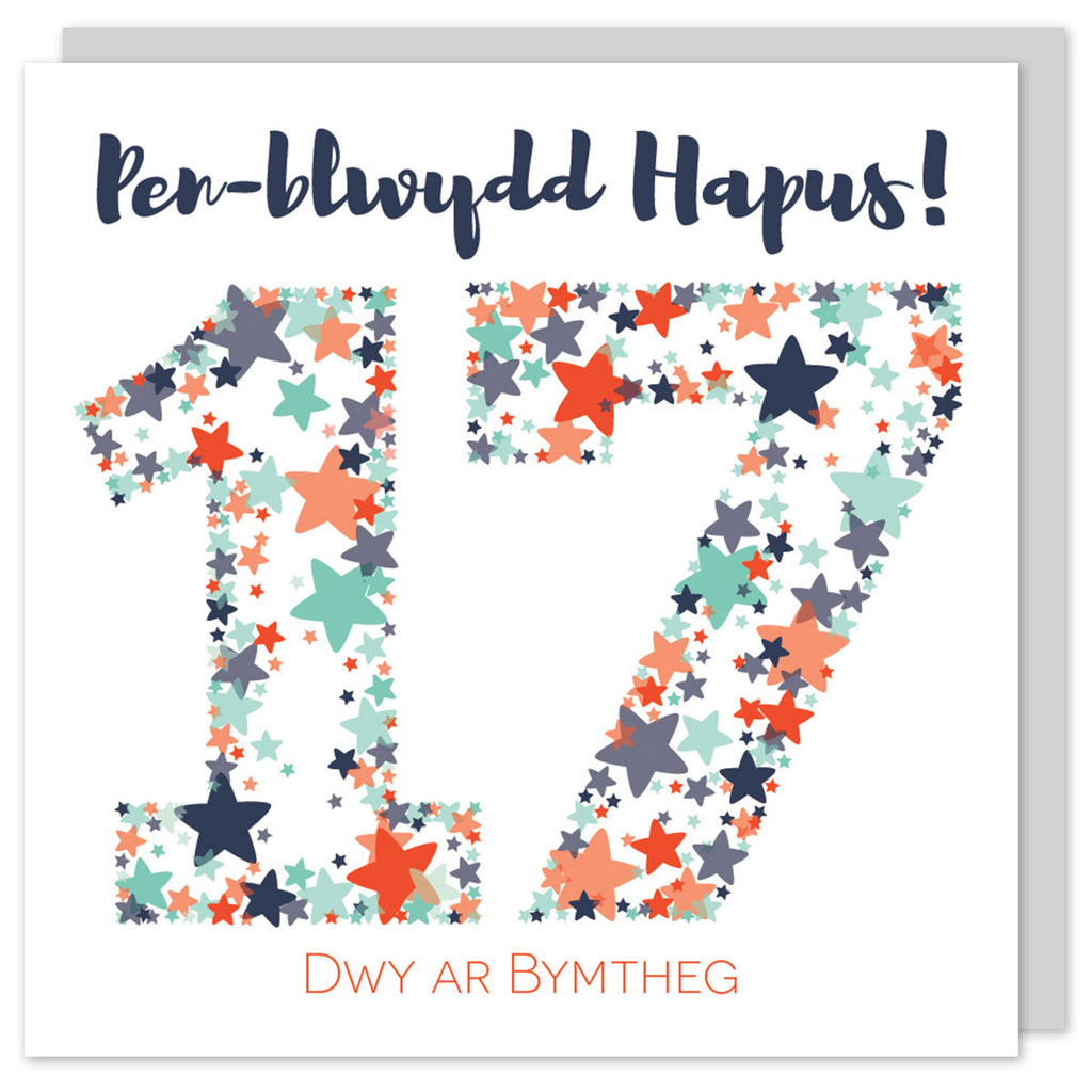 Welsh birthday card seventeen 'Pen-blwydd hapus 17 Dwy ar bymtheg' Cerdyn Cymraeg - Draenog