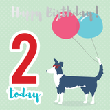 Happy birthday age 2 sheepdog silver foil card - Draenog