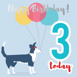 Happy birthday age 3 sheepdog silver foil card - Draenog