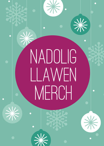 Christmas card 'Nadolig Llawen Merch' - Draenog