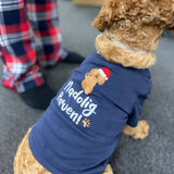 Nadolig Llawen Welsh Christmas - The DPJ Foundation - T-shirt