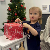 Nadolig Pawen Welsh Christmas - T-shirt