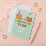 Welsh birthday card 'Penblwydd hapus iawn i ti!' hedgehogs