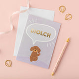 Welsh thank you card 'Diolch' dog