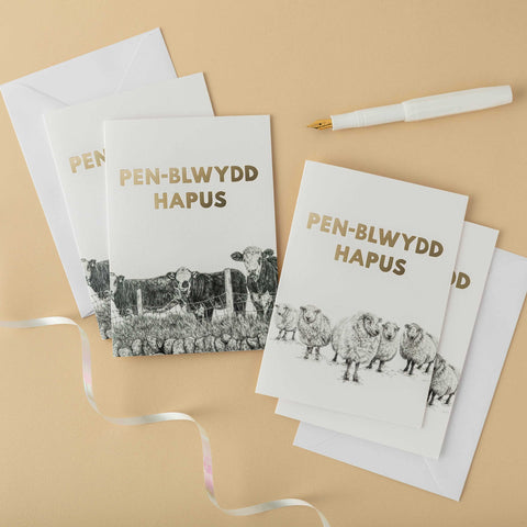 Pen-blwydd Hapus Welsh Birthday Card Set of 4 - Lleucu Howatson