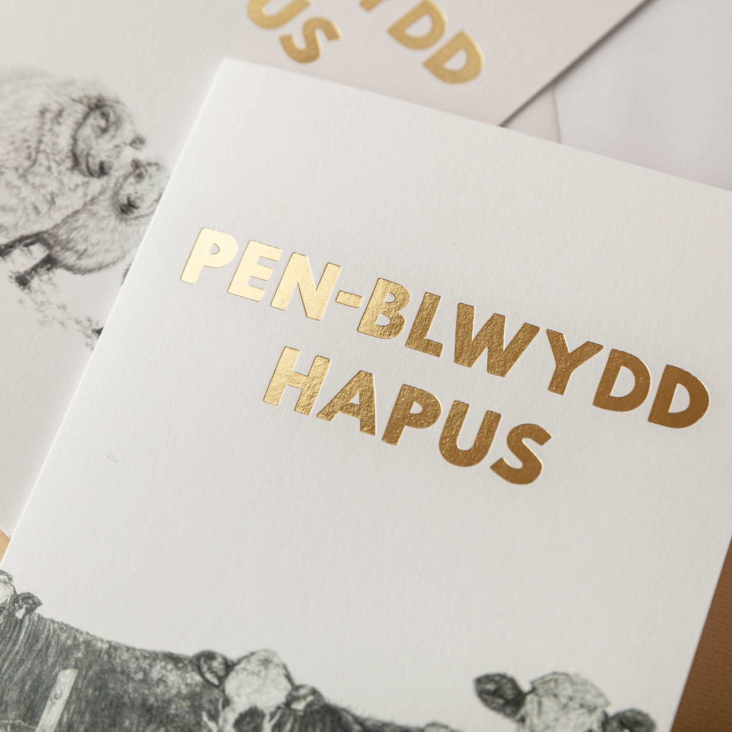 Pen-blwydd Hapus Welsh Birthday Card Set of 4 - Lleucu Howatson