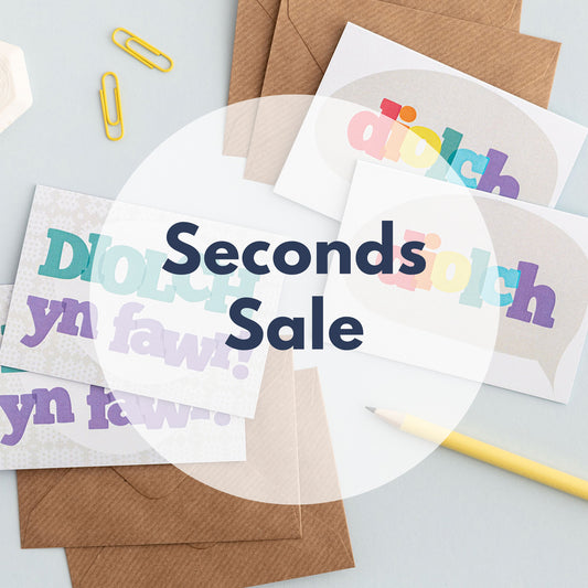 SECONDS Thank you cards 'diolch / diolch yn fawr!' pack of 4 mini cards