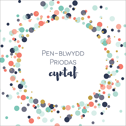 Welsh first anniversary card 'Pen-blwydd priodas cyntaf' cerdyn pen-blwydd priodas Cymraeg - Draenog