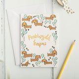 Birthday card 'Penblwydd hapus' - dachshund party