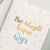 Birthday card 'Pen-blwydd hapus Ŵyr' Grandson