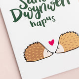Welsh love card 'Dydd Santes Dwynwen Hapus' hedgehogs