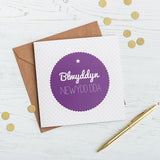 New year or Christmas card 'Blwyddyn newydd dda' - Draenog - 1