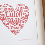 Welsh print 'Calon Lân' red heart - Draenog