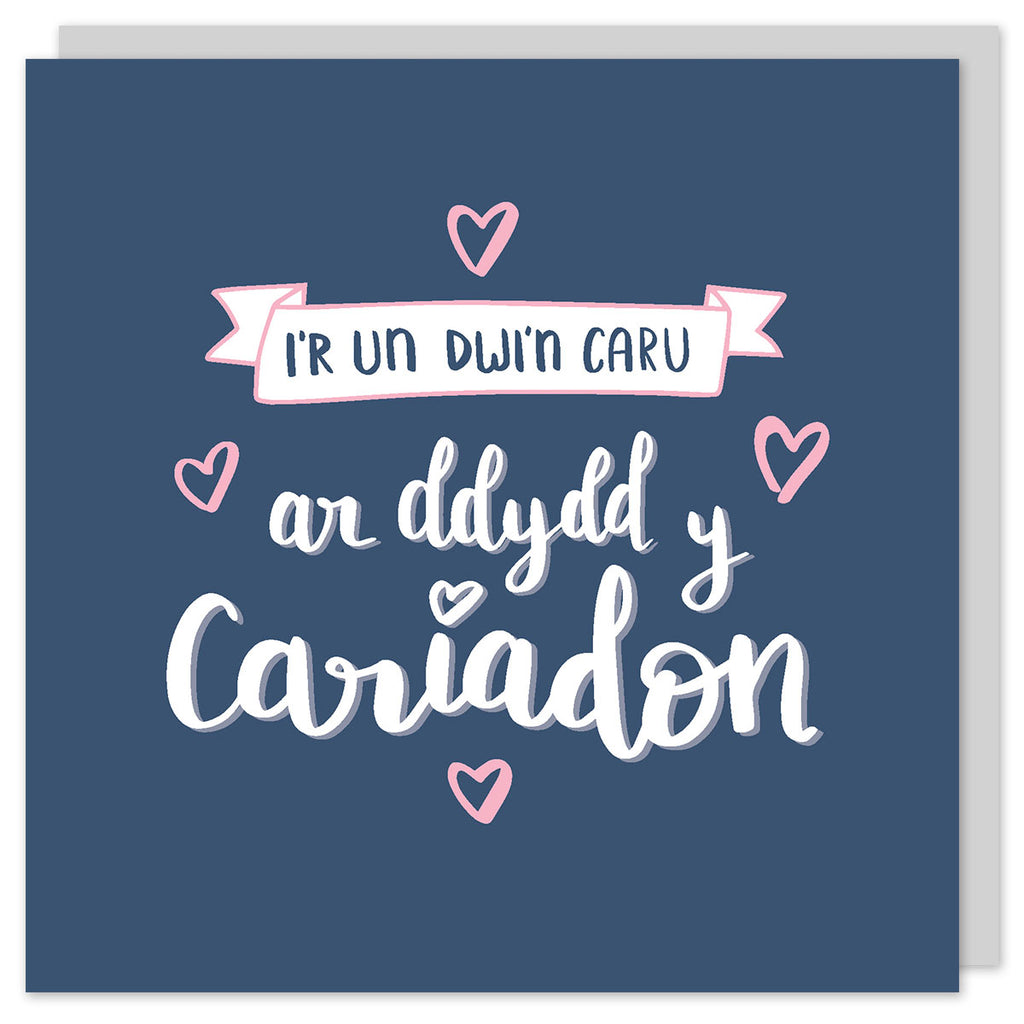 Cerdyn cariad Cymraeg / Welsh love card