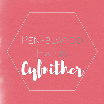 Welsh birthday card 'Pen-blwydd hapus Cyfnither' - Draenog