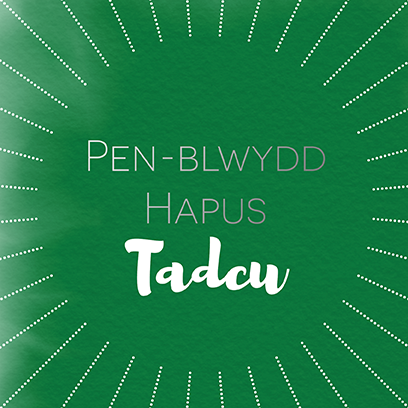 Welsh birthday card 'Pen-blwydd hapus Tadcu' - Draenog