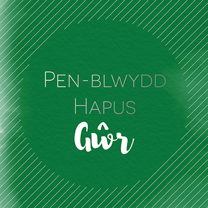 Welsh birthday card 'Pen-blwydd hapus Gŵr' - Draenog